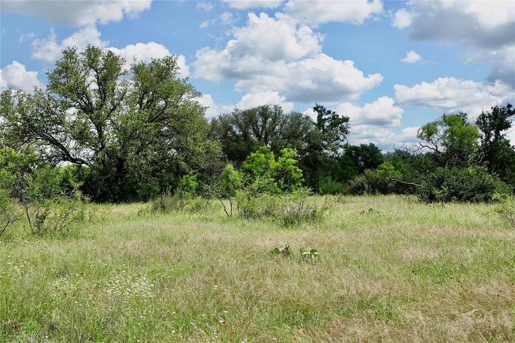 219 C R 550 Mullin, TX 76864 - Photo 24 of 37 a view of a yard with a tree