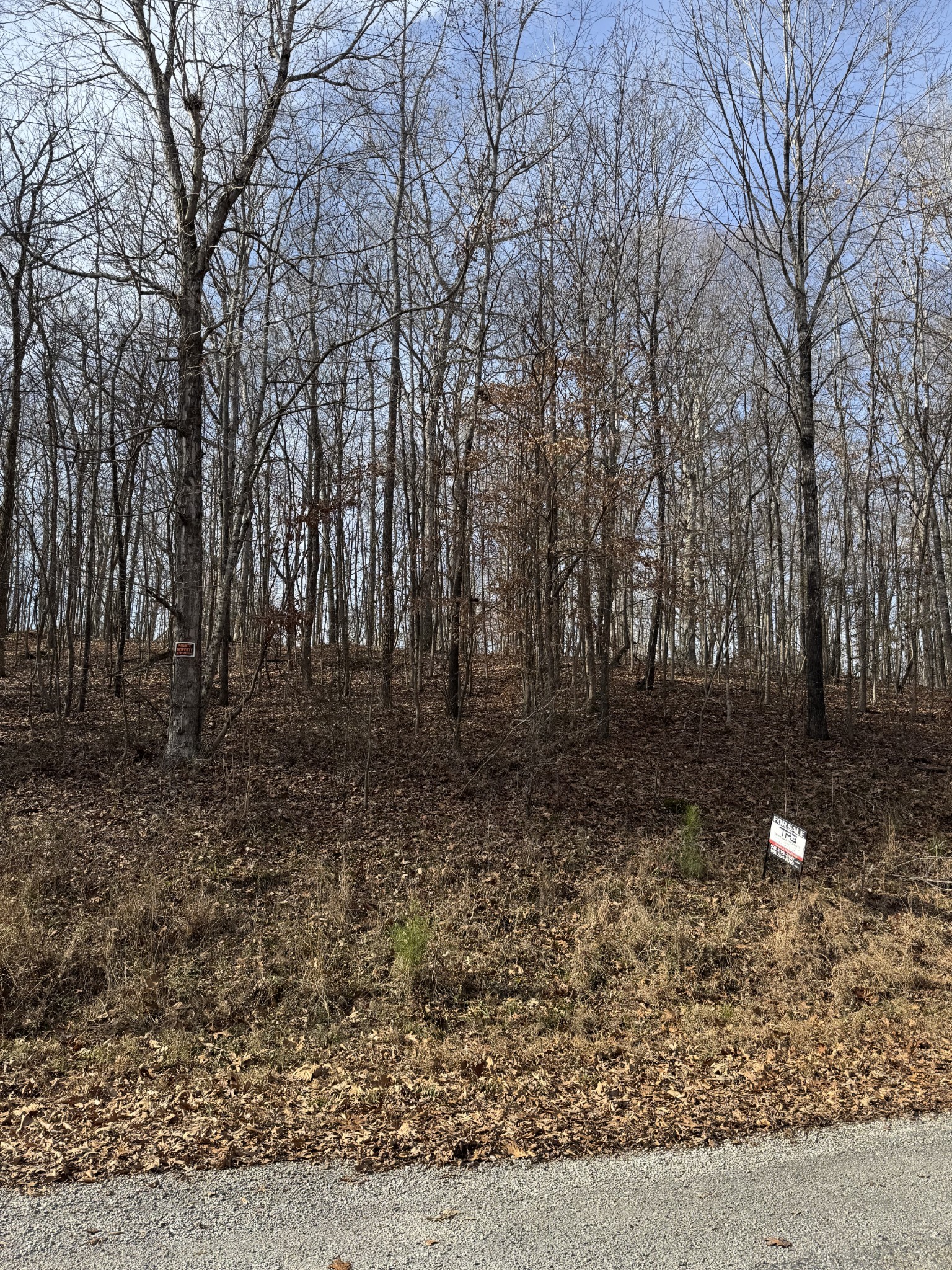 0 Midfield Road Big Sandy, TN 38221 - Photo 2 of 11