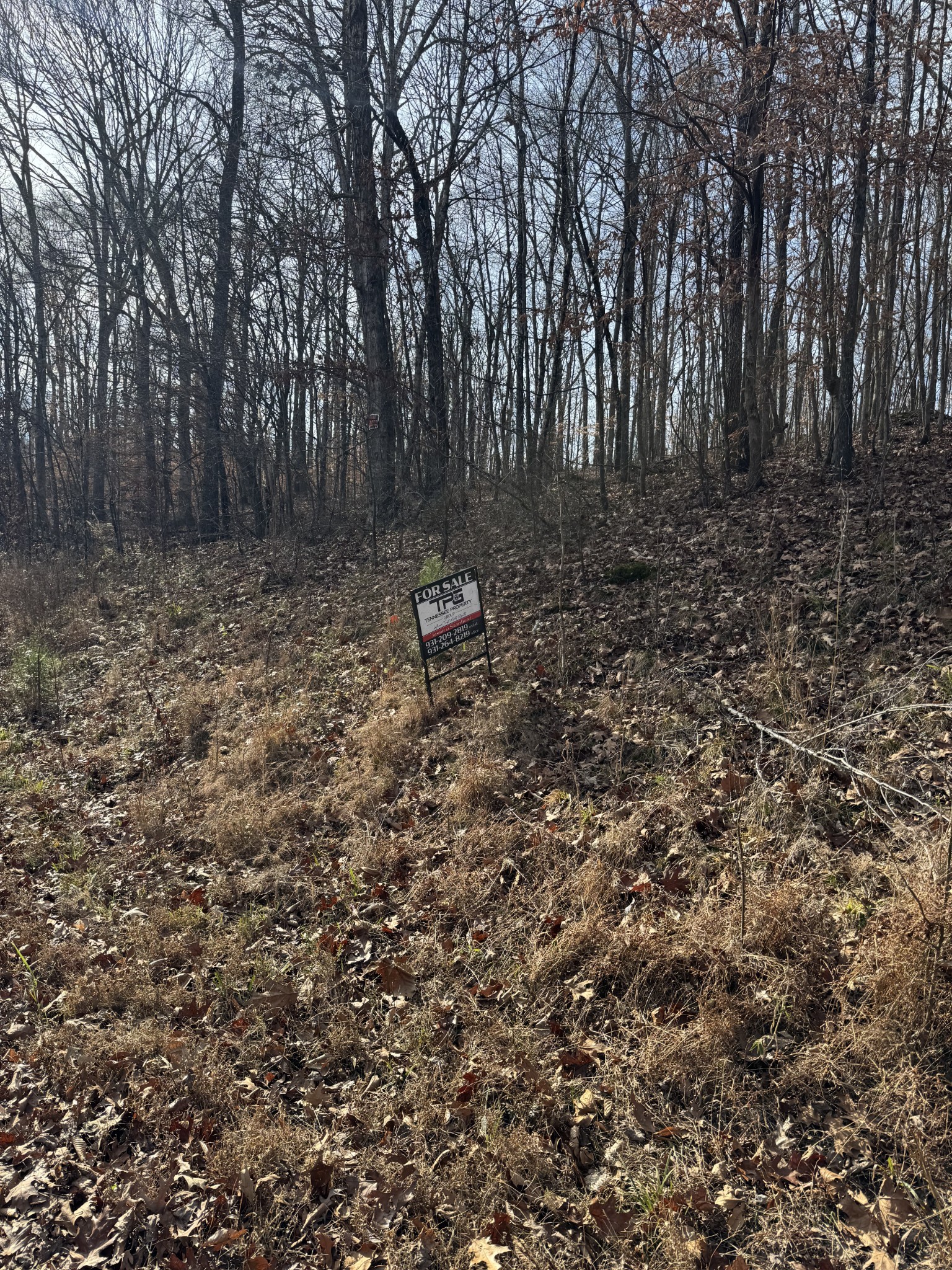 0 Midfield Road Big Sandy, TN 38221 - Photo 5 of 11