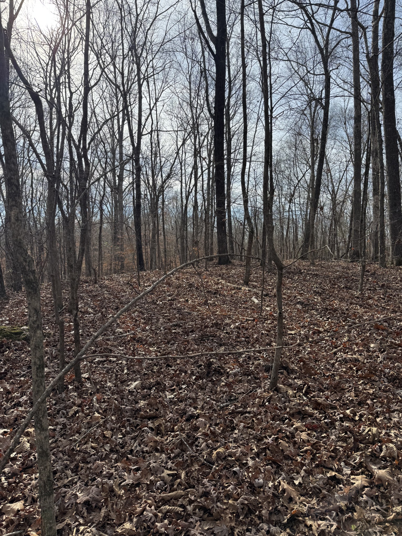 0 Midfield Road Big Sandy, TN 38221 - Photo 6 of 11