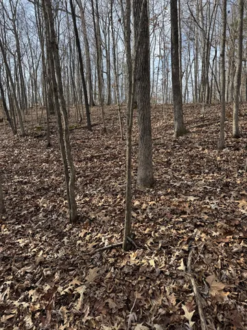 a view of outdoor space with trees