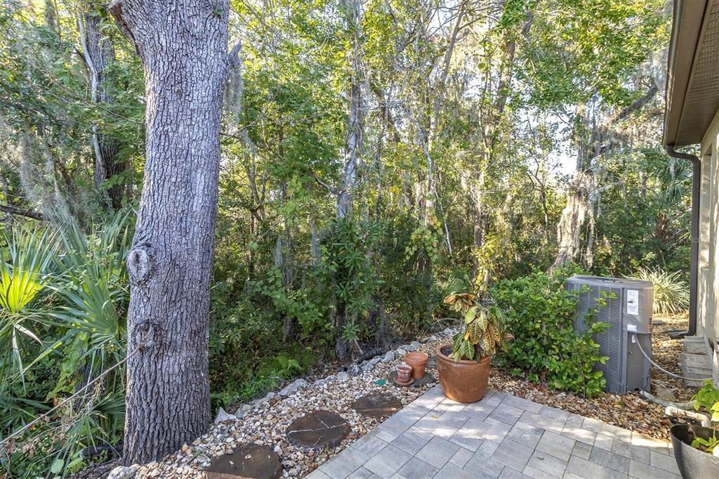 7715 Dawson Creek Lane New Port Richey, FL 34654 - Photo 20 of 29