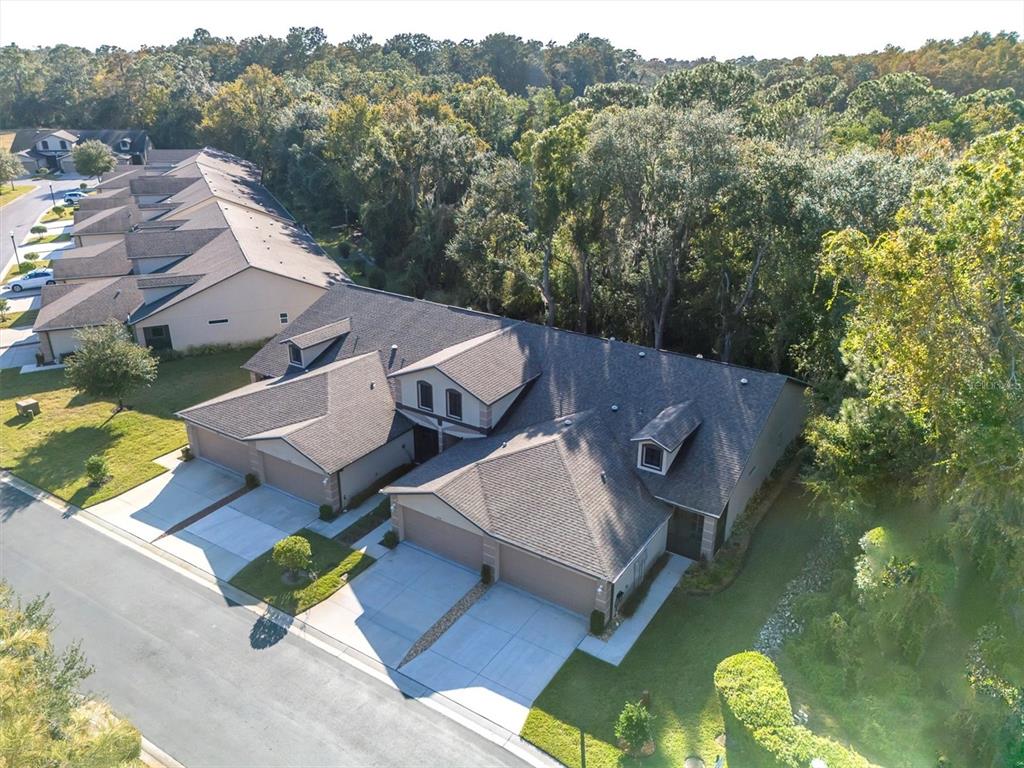 7715 Dawson Creek Lane New Port Richey, FL 34654 - Photo 26 of 29