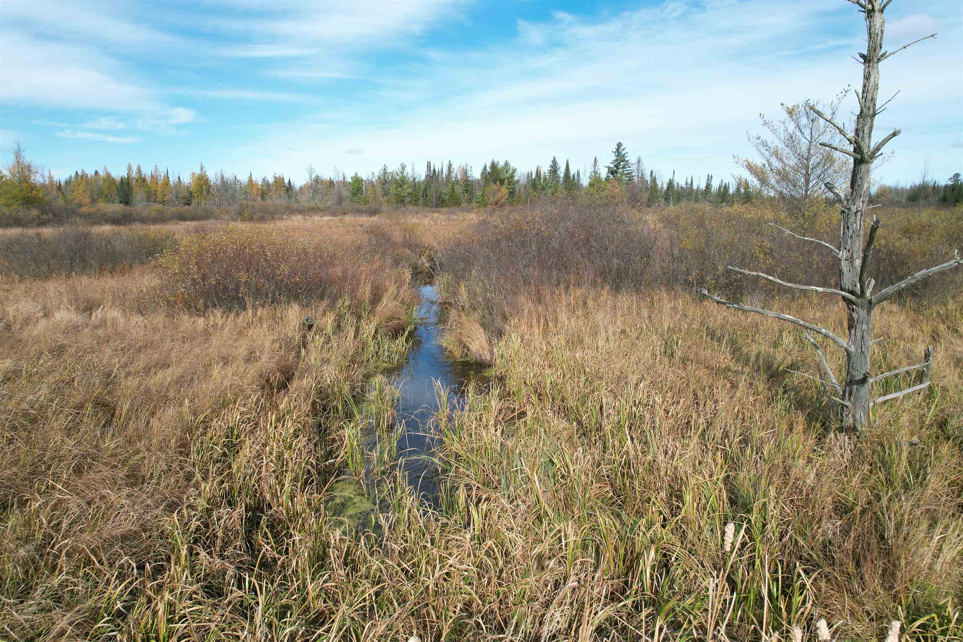 8 Us Highway Brantwood, WI 54513 - Photo 5 of 9