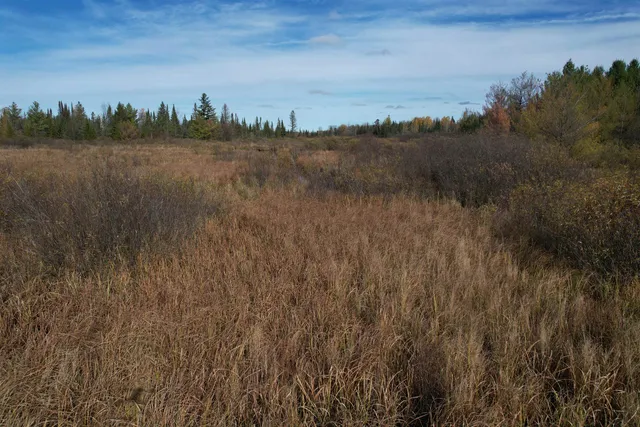 $64,500 | 8 Us Highway, Brantwood, WI 54513