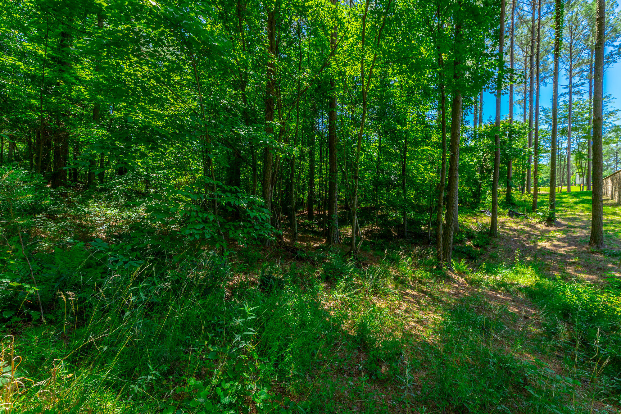 0 Split Rail Way, Unit LOT 1121 Guild, TN 37340 - Photo 10 of 103 River Gorge Lot 1121 HD-15