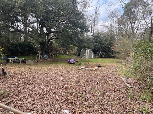 1632 Dogwood Road Charleston, SC 29414 - Photo 9 of 12 Back yard IMG_5106