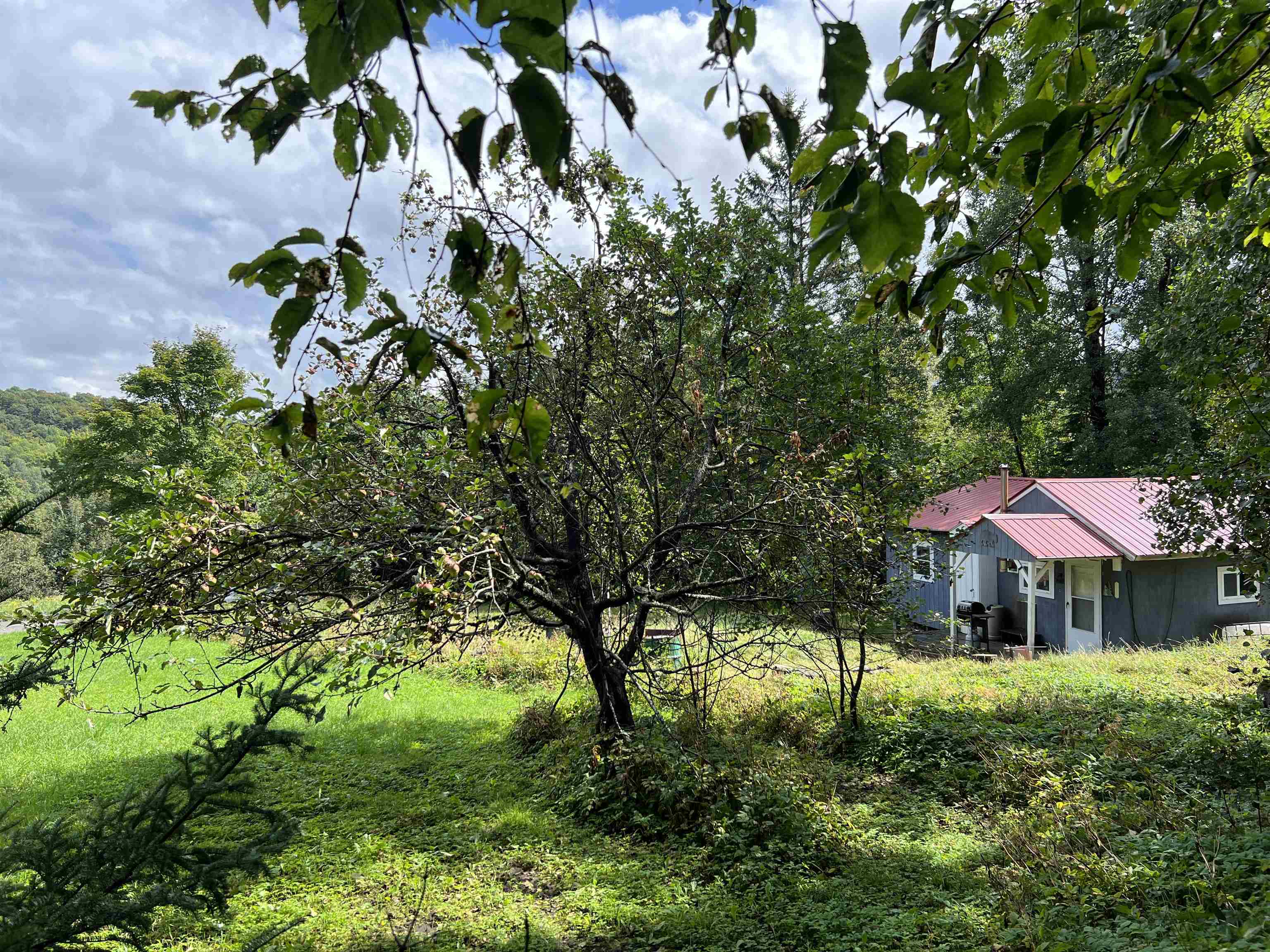 2484 Kenniston Hill Road Wheelock, VT 05839 - Photo 9 of 11