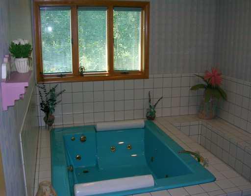315 Jacks Run Road Pittsburgh, PA 15202 - Photo 5 of 8 Swimming Pool/Hot Tub/Sauna.