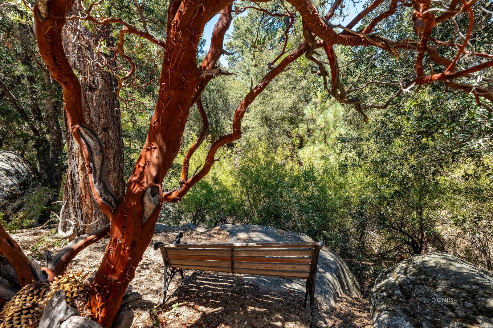 25265 Foster Lake Road Idyllwild, CA 92549 - Photo 44 of 56 Bench overlooking seasonal creek