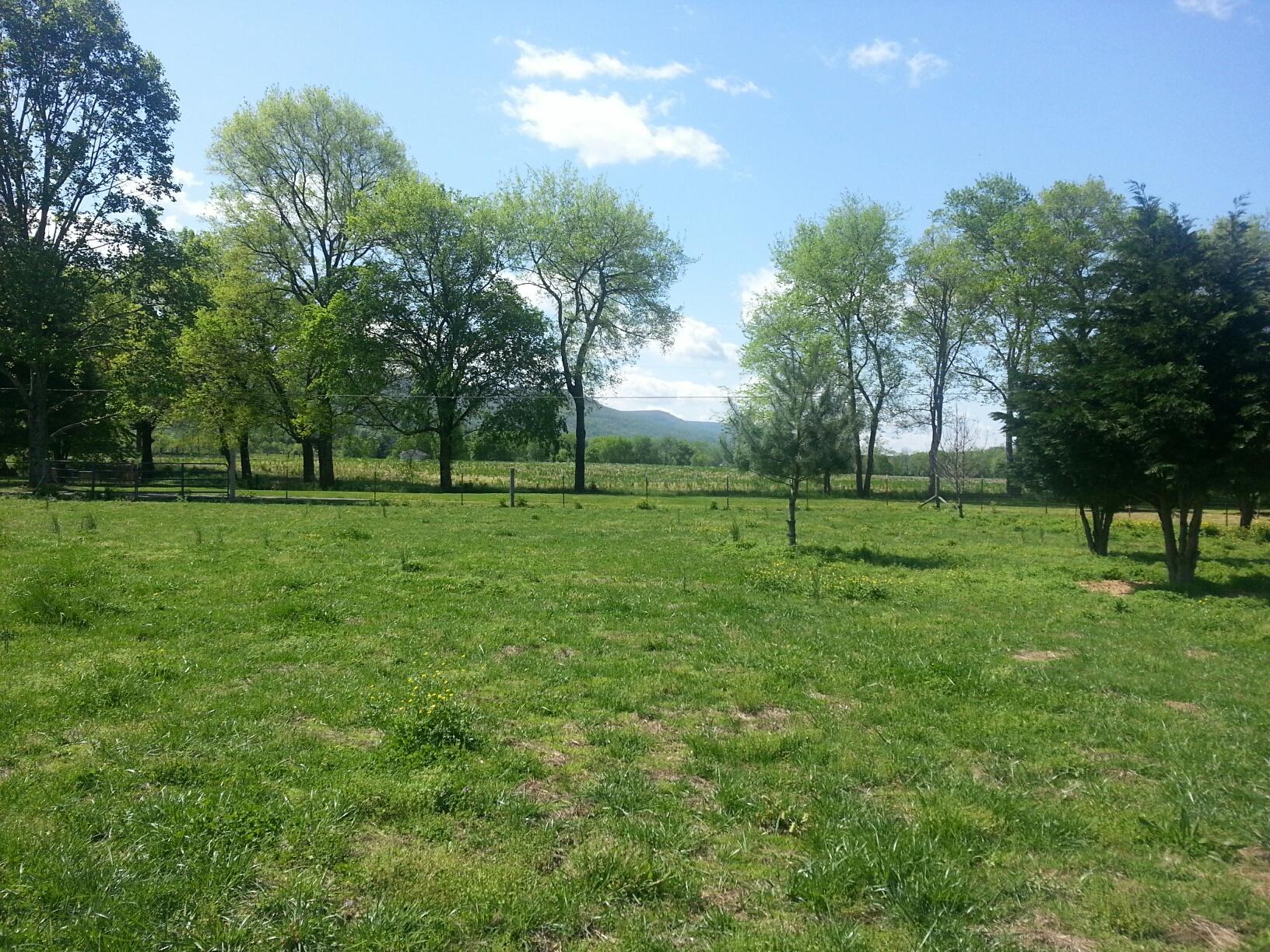 88 Herman Hickson Road Dunlap, TN 37327 - Photo 2 of 34 Scenic View