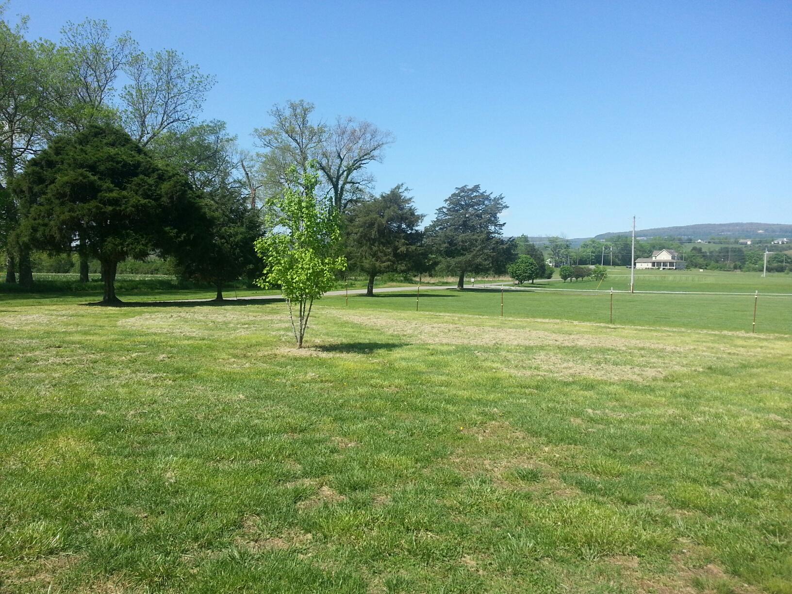 88 Herman Hickson Road Dunlap, TN 37327 - Photo 21 of 34 Front Yard