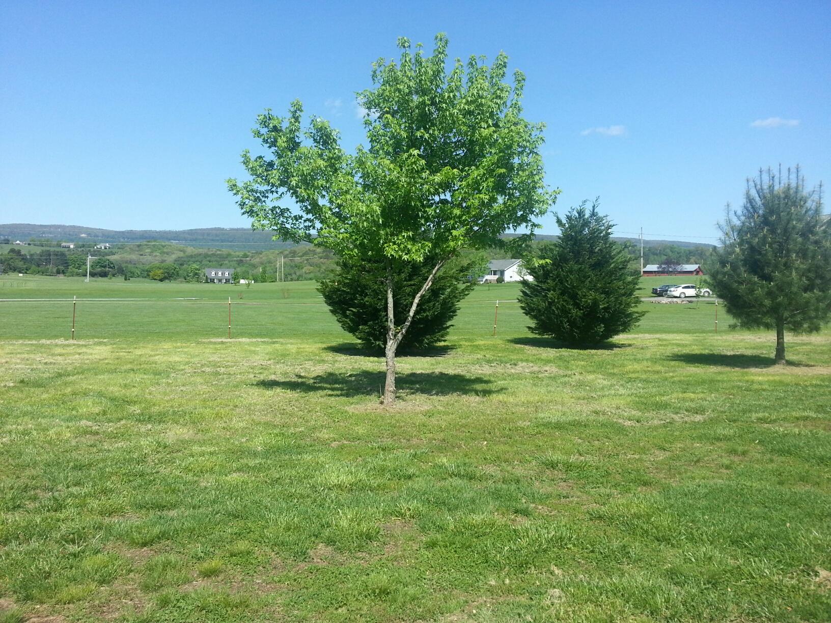 88 Herman Hickson Road Dunlap, TN 37327 - Photo 22 of 34 Front Yard