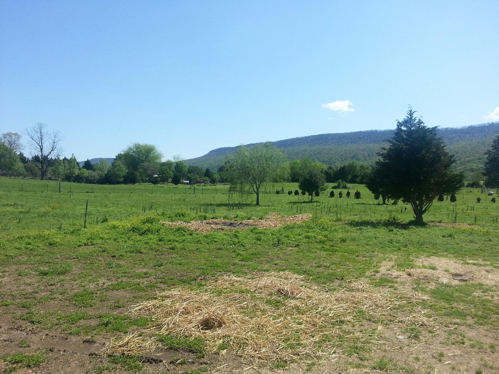 88 Herman Hickson Road Dunlap, TN 37327 - Photo 28 of 34 Back Yard