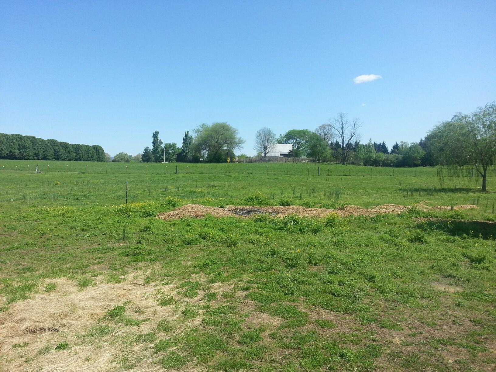 88 Herman Hickson Road Dunlap, TN 37327 - Photo 29 of 34 Back Yard/pasture