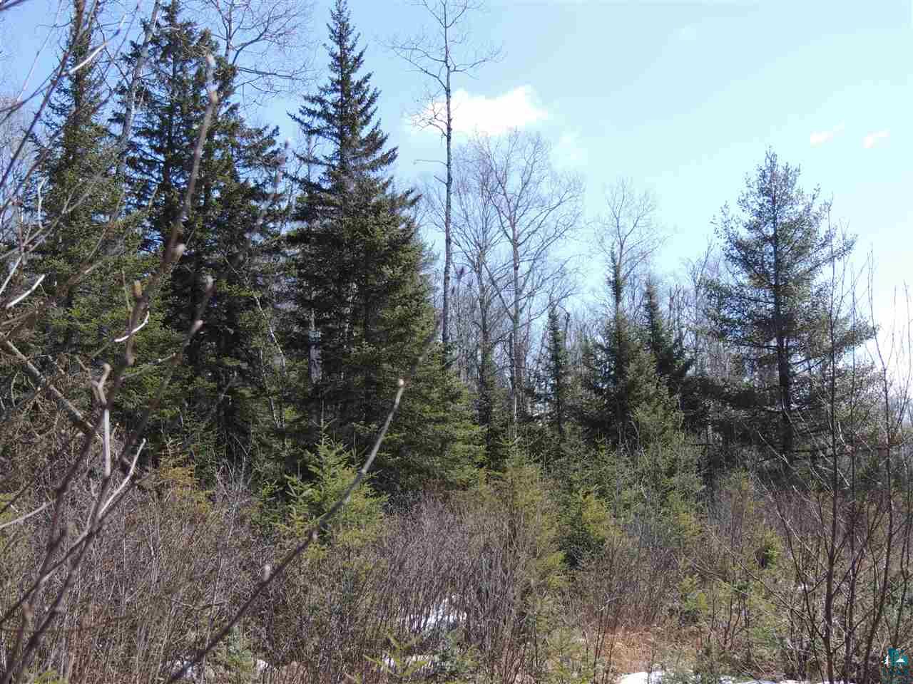 106 X Devil Track Road Grand Marais, MN 55604 - Photo 1 of 7 Gallery Image 1
