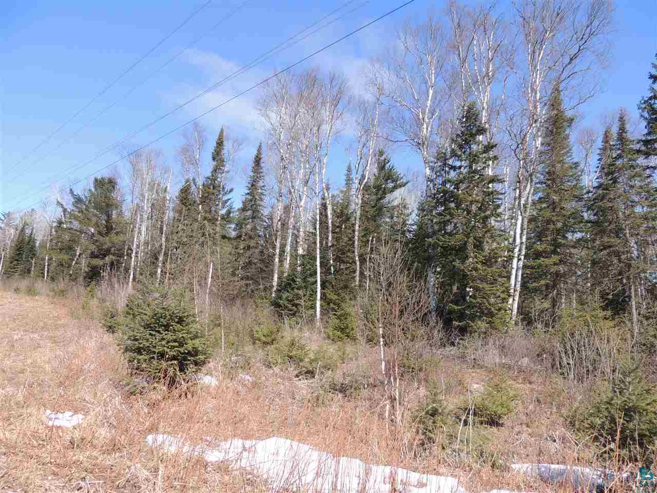 106 X Devil Track Road Grand Marais, MN 55604 - Photo 2 of 7 Gallery Image 2
