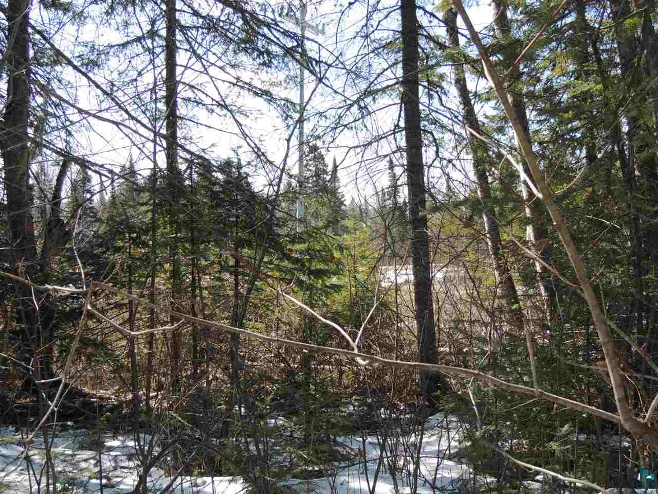 106 X Devil Track Road Grand Marais, MN 55604 - Photo 3 of 7 Gallery Image 3