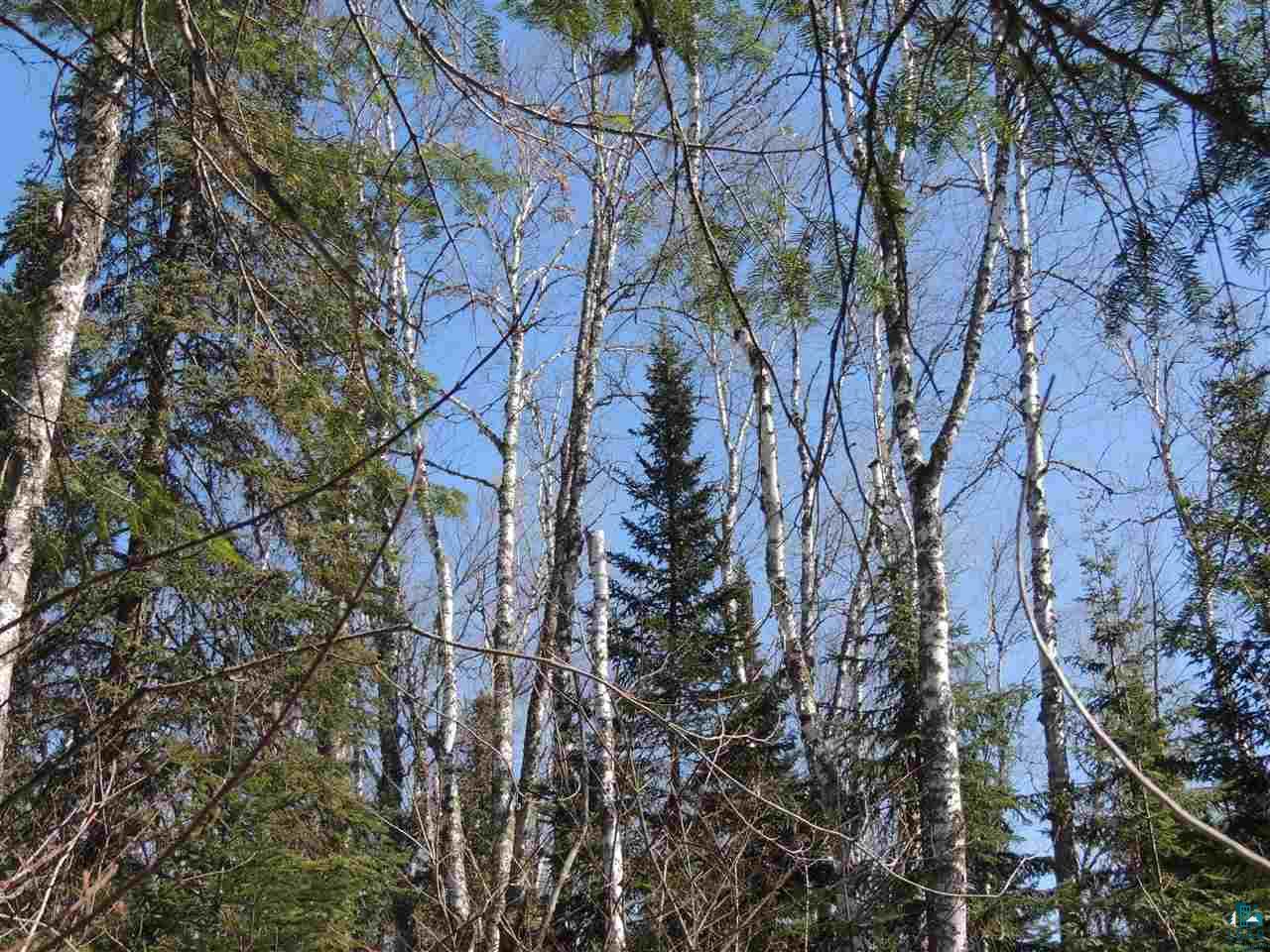 106 X Devil Track Road Grand Marais, MN 55604 - Photo 4 of 7 Gallery Image 4