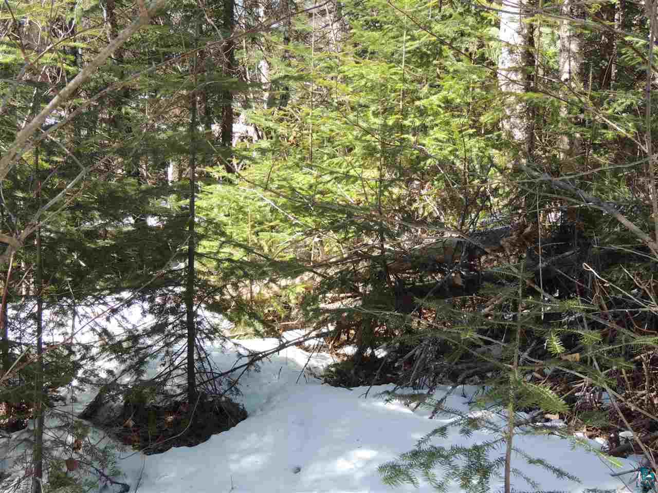 106 X Devil Track Road Grand Marais, MN 55604 - Photo 5 of 7 Gallery Image 5