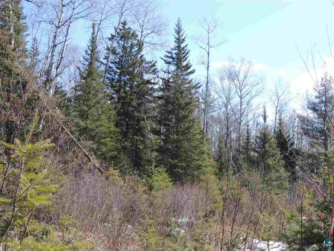106 X Devil Track Road Grand Marais, MN 55604 - Photo 6 of 7 Gallery Image 6