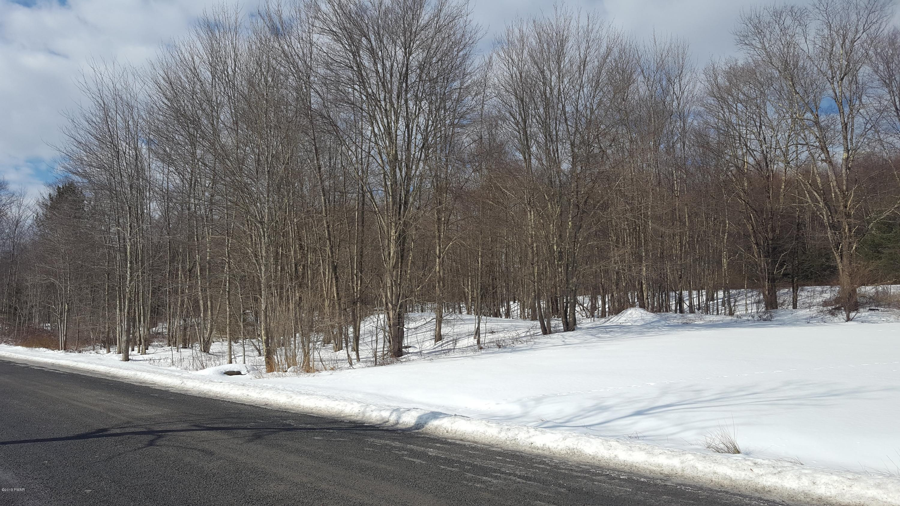 47 Creek Road Equinunk, PA 18417 - Photo 18 of 24 Woods by home