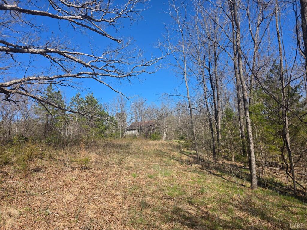 Aspen Wall Road Brookneal, VA 24528 - Photo 1 of 15 Gallery Image 1