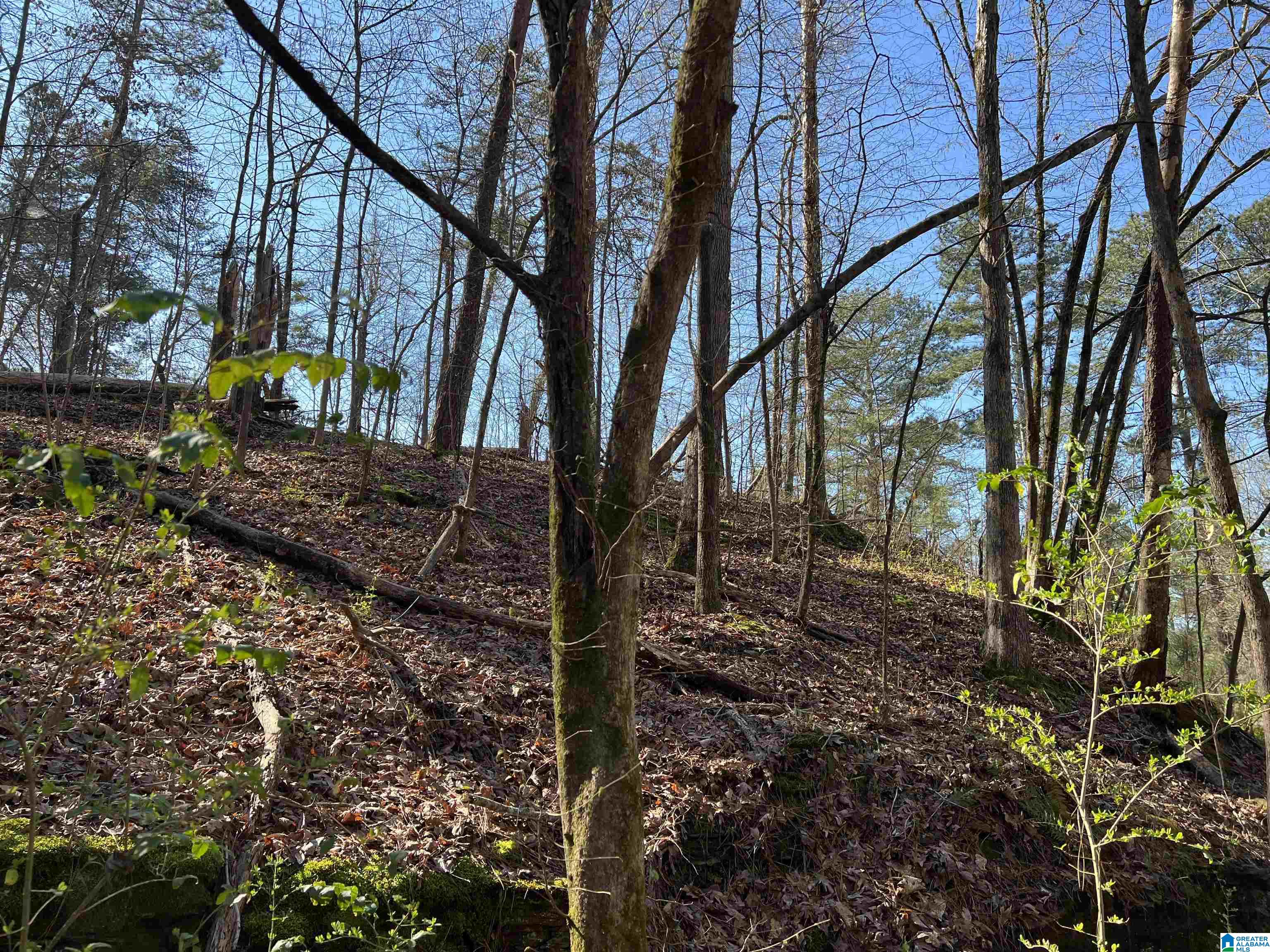 0 Lakeshore Lane, Unit 4 Oneonta, AL 35121 - Photo 23 of 49