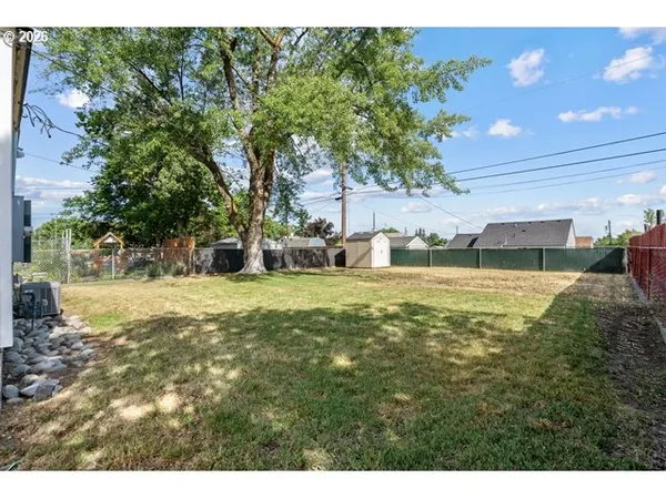 a view of yard with tree s