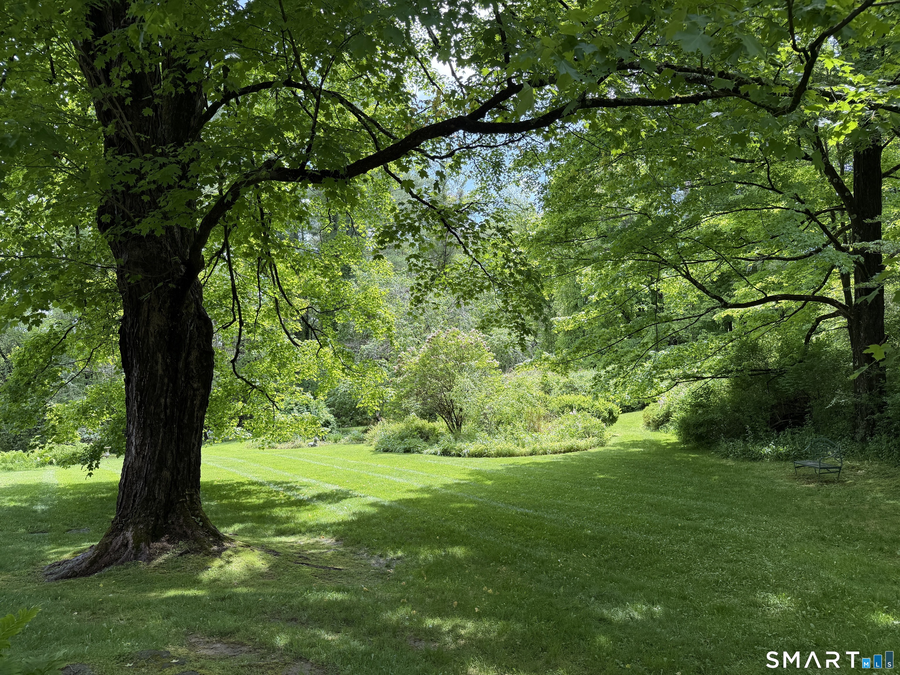 552 Twin Lakes Road Salisbury, CT 06068 - Photo 31 of 34 a view of a trees with a yard
