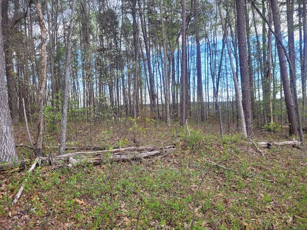 0 Mountain Hall Road Crewe, VA 23930 - Photo 2 of 8 Gallery Image 2