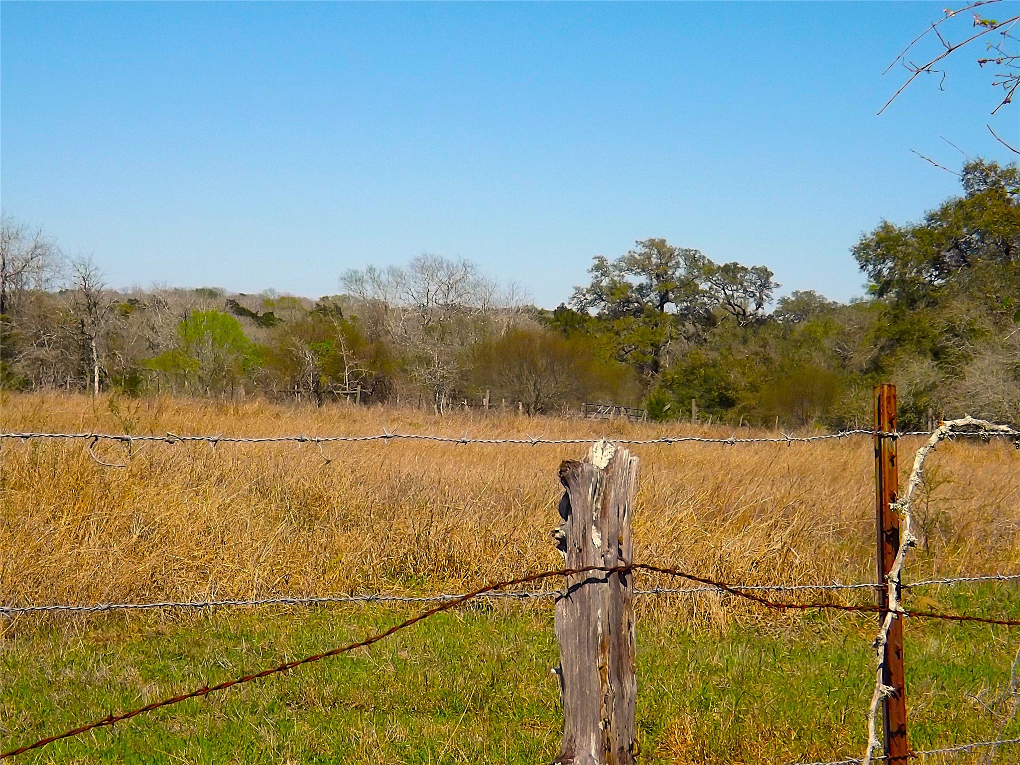 1649 County Road 209 Weimar, TX 78962 - Photo 17 of 27 a view of a lake