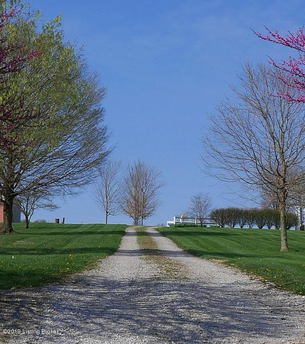 945 Fred Fackler Road Brandenburg, KY 40108 - Photo 54 of 103 945 Fred Fackler Resize (3)