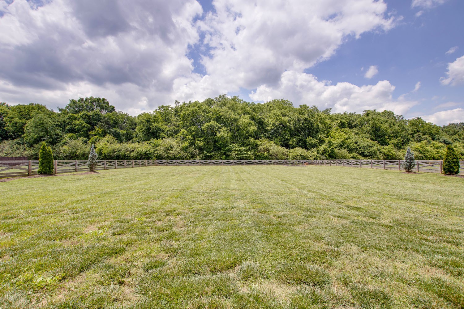 2502 Armstrong Valley Road Murfreesboro, TN 37128 - Photo 31 of 31 a view of a yard with an trees