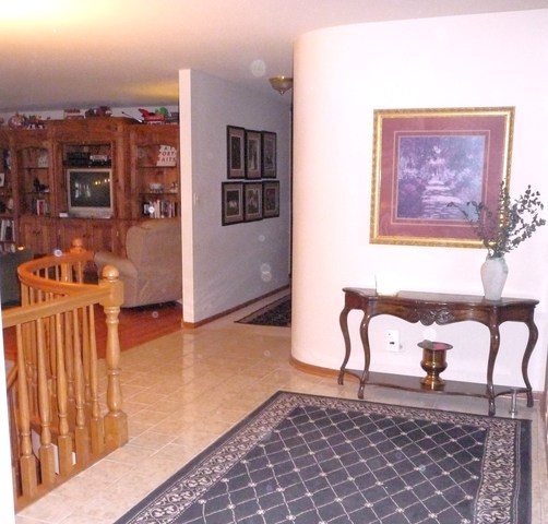 803 Highland Road Frankfort, IL 60423 - Photo 8 of 18
