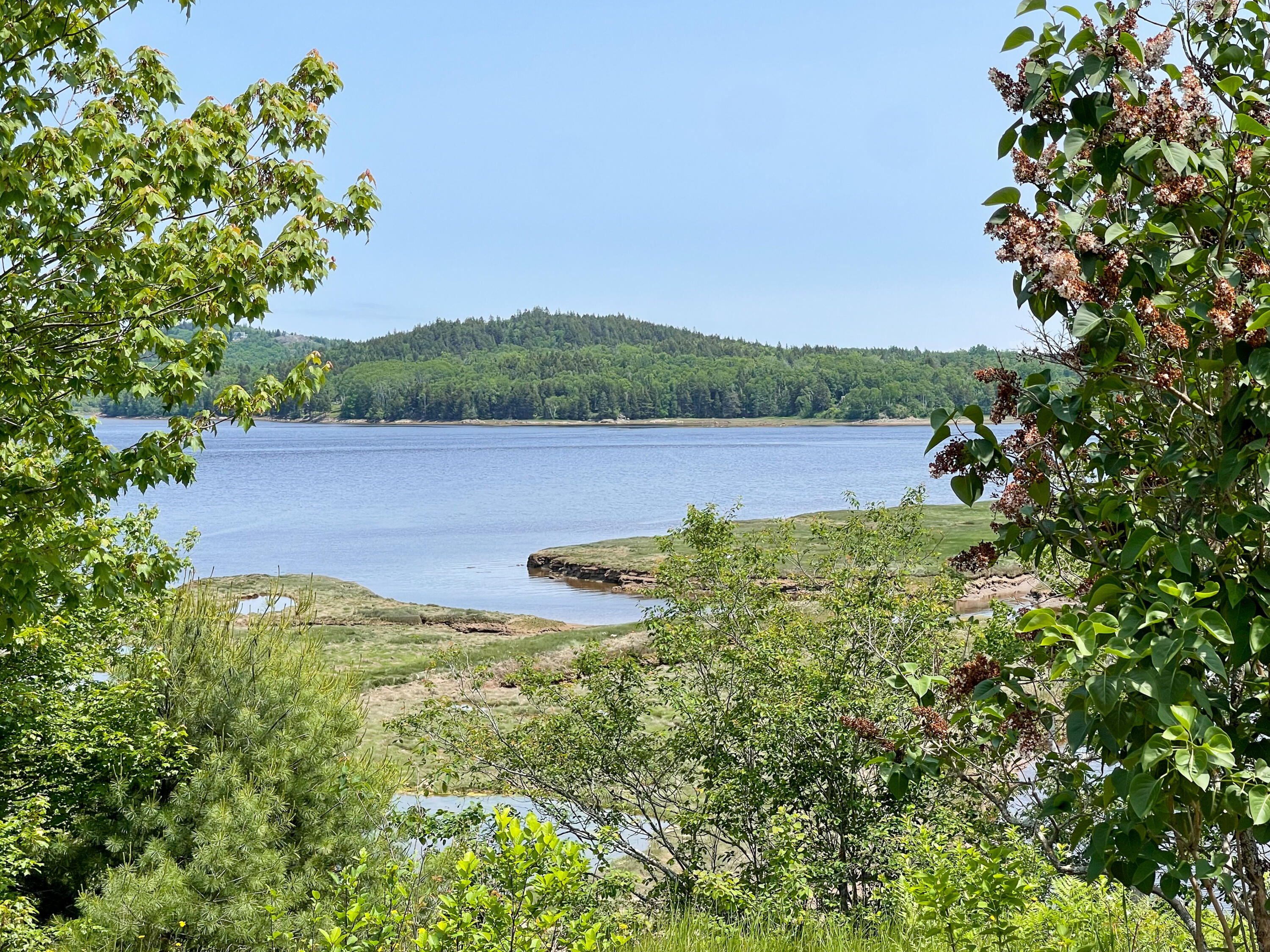 77 Rim Road Machiasport, ME 04655 - Photo 6 of 53 IMG_0548