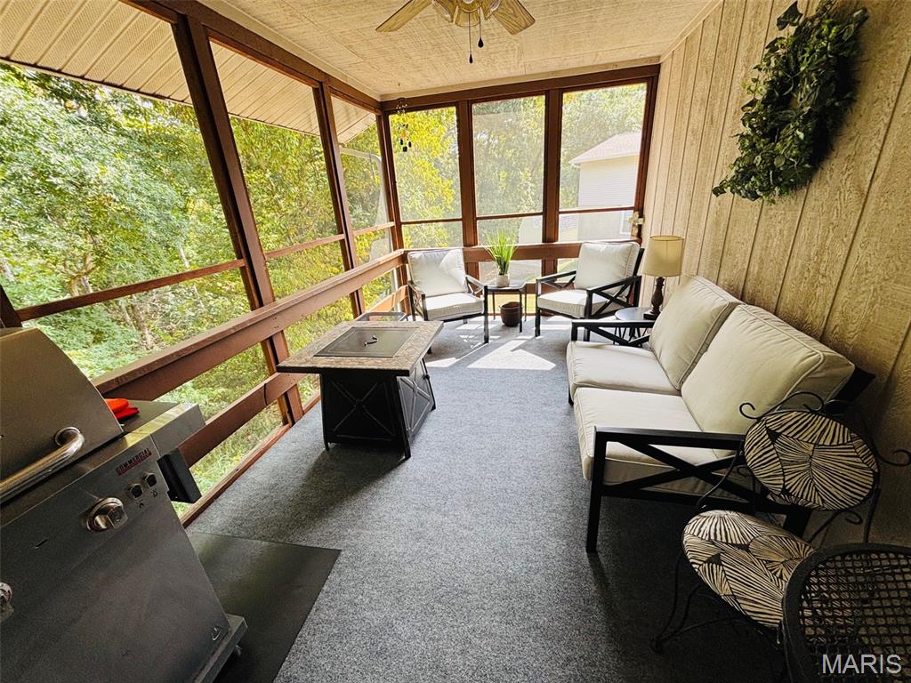 132 Blue Ridge Trace Festus, MO 63028 - Photo 13 of 37