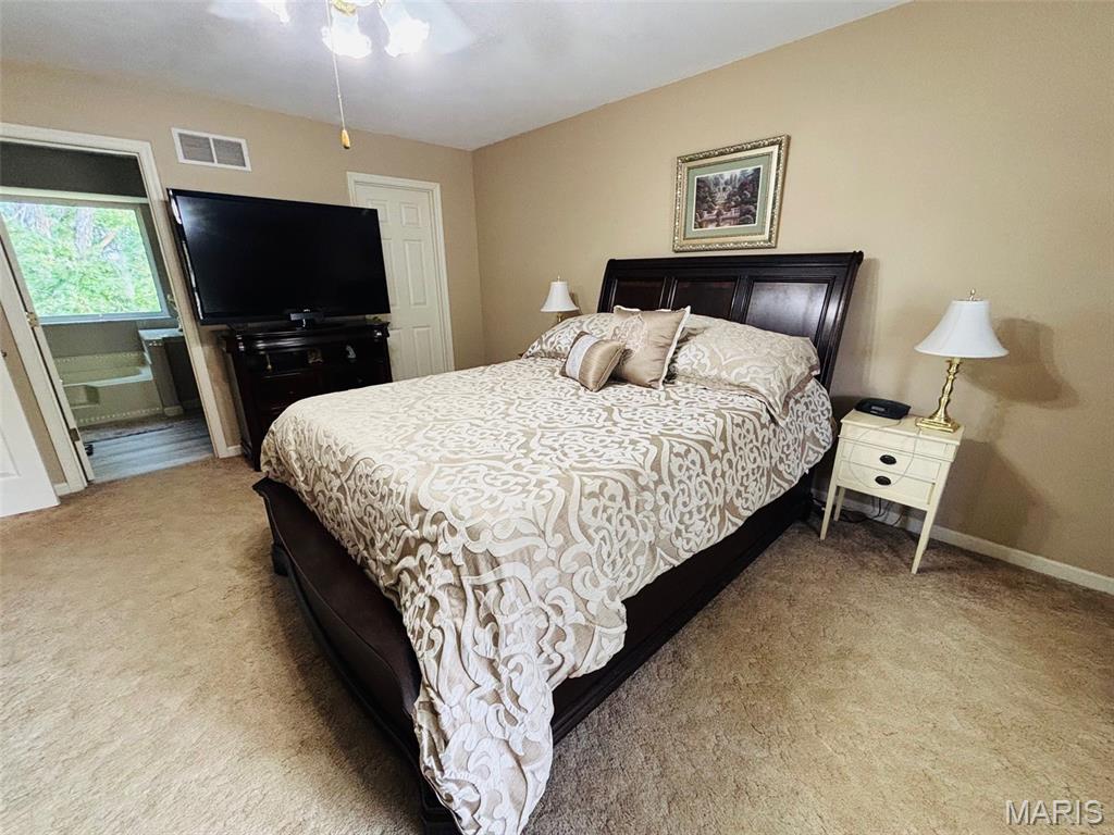 132 Blue Ridge Trace Festus, MO 63028 - Photo 17 of 37