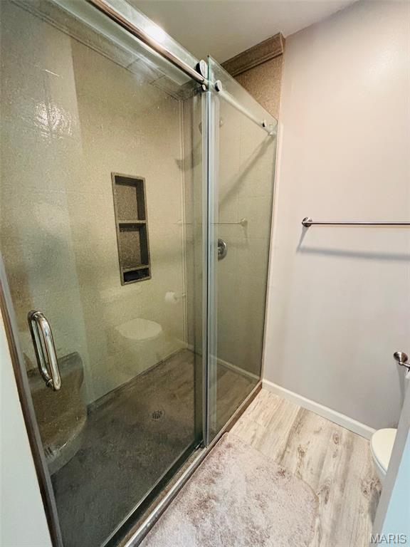 132 Blue Ridge Trace Festus, MO 63028 - Photo 20 of 37