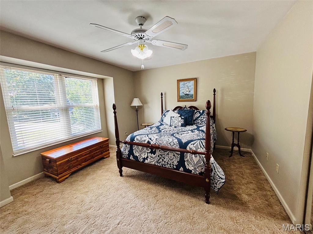 132 Blue Ridge Trace Festus, MO 63028 - Photo 21 of 37