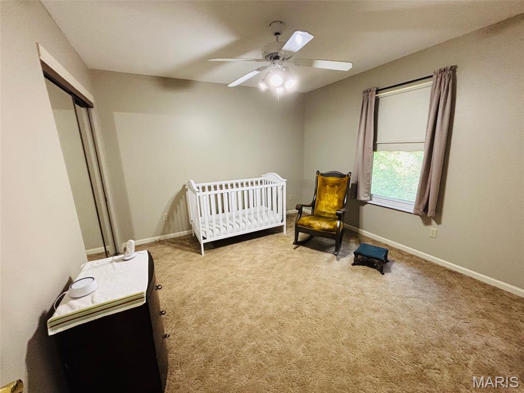 132 Blue Ridge Trace Festus, MO 63028 - Photo 22 of 37