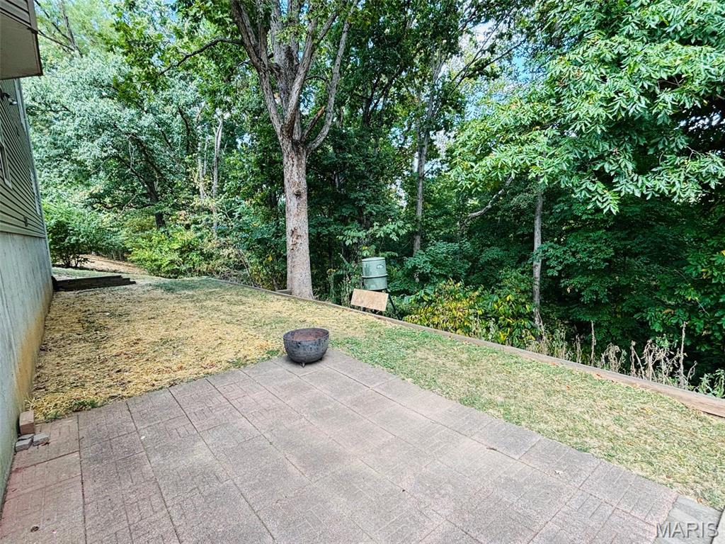 132 Blue Ridge Trace Festus, MO 63028 - Photo 33 of 37