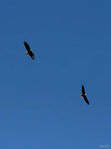 $359,000 | 132 Blue Ridge Trace, Festus, MO 63028