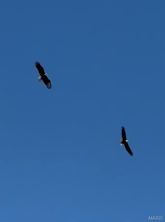 132 Blue Ridge Trace Festus, MO 63028 - Photo 37 of 37