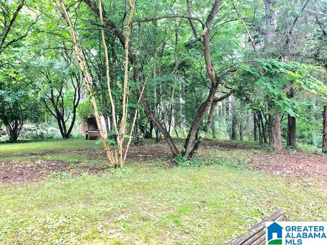 724 Kimberly Road Piedmont, AL 36272 - Photo 23 of 31
