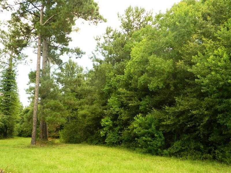 62427 Seal Road Angie, LA 70426 - Photo 17 of 22