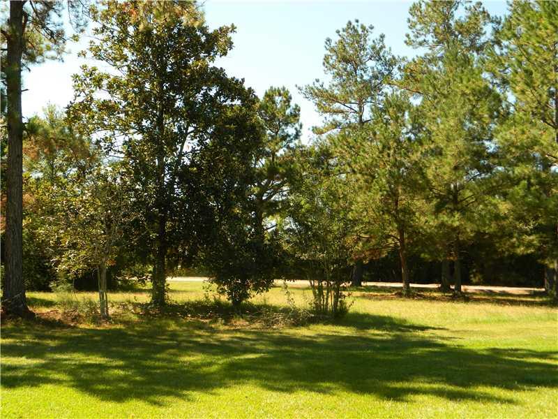 62427 Seal Road Angie, LA 70426 - Photo 18 of 22