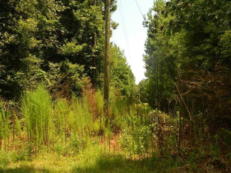62427 Seal Road Angie, LA 70426 - Photo 19 of 22