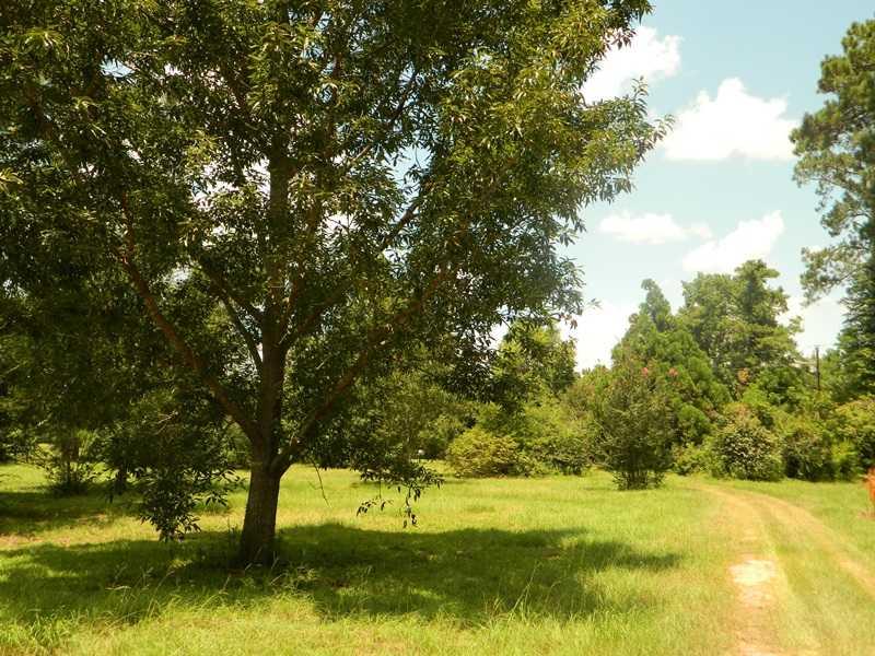 62427 Seal Road Angie, LA 70426 - Photo 21 of 22