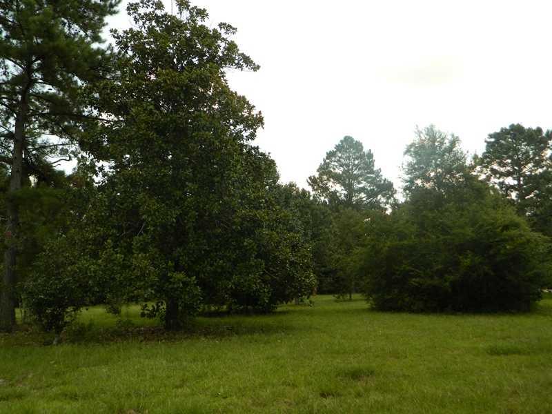 62427 Seal Road Angie, LA 70426 - Photo 22 of 22